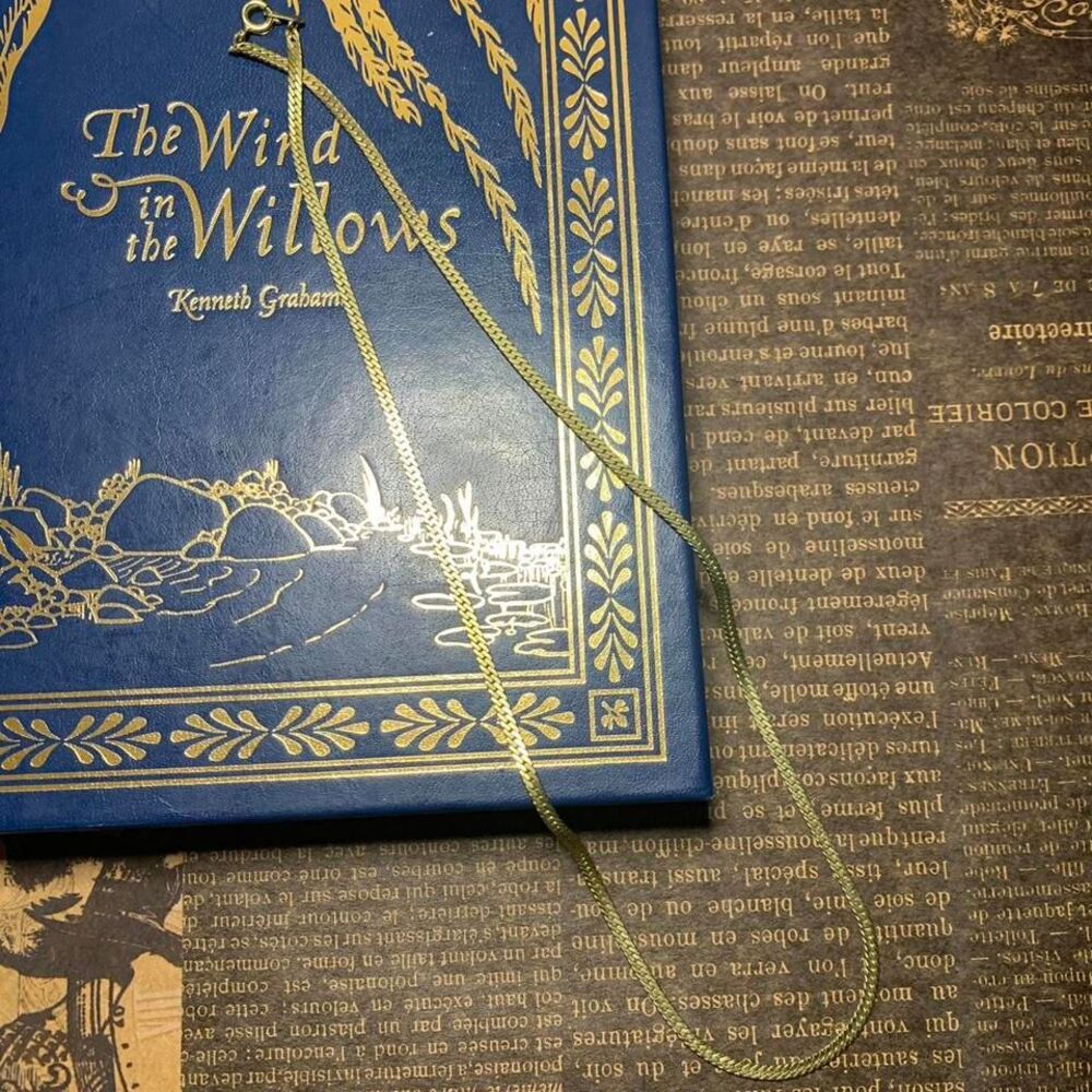 Gold Chain Necklace (19")